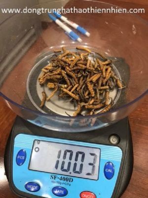 Đông Trùng Hạ Thảo Thiên Nhiên Mắt Đỏ Bhutan Loại B Gãy (10 Gram)